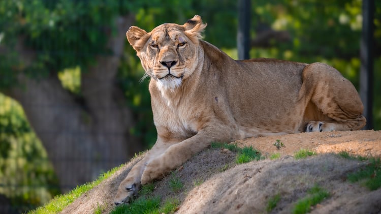 DR202408_YunaUpdate_016_687912