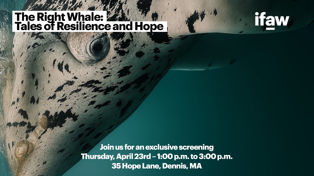 Event Landing Page Image_Dennis