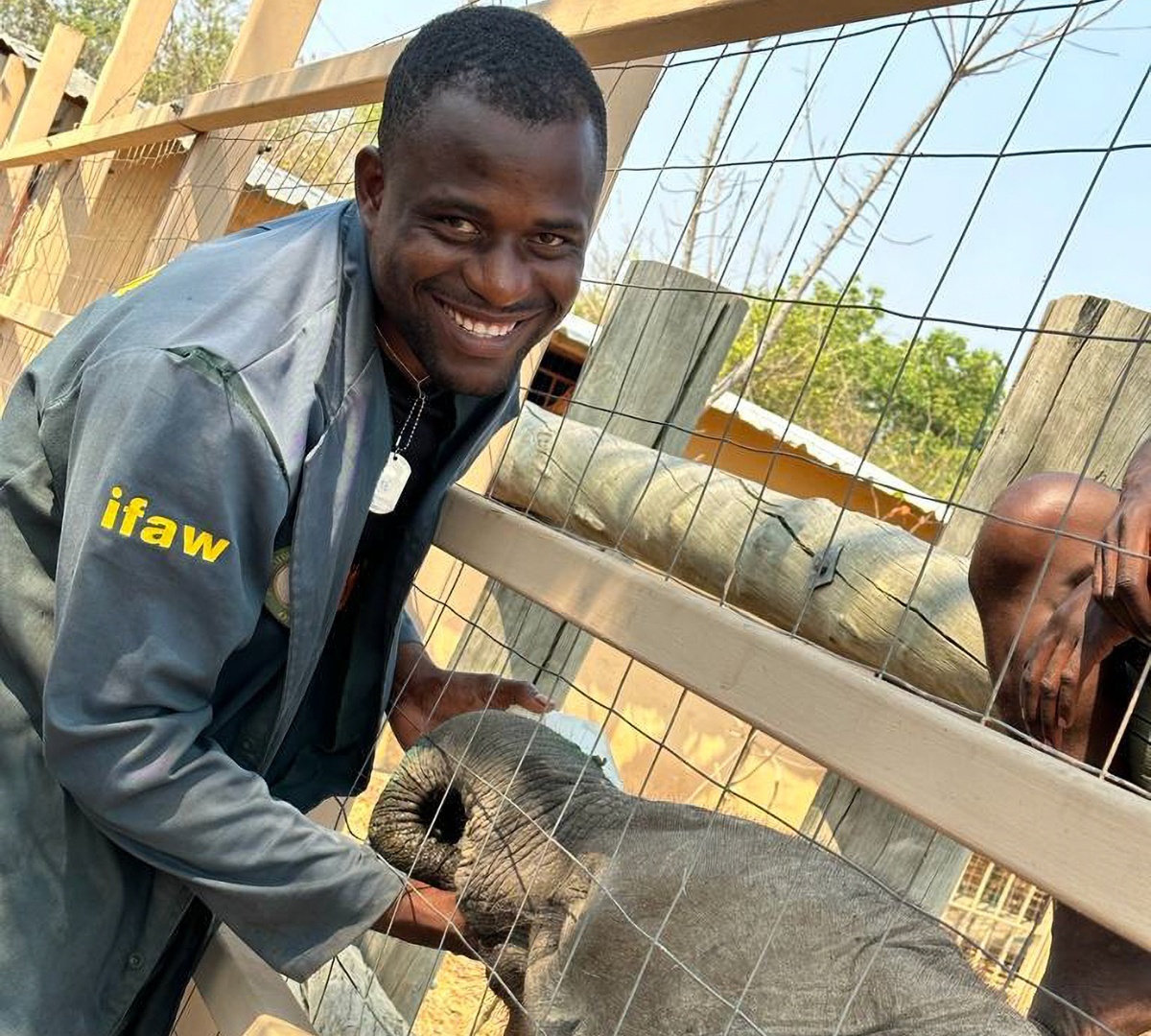 Matthews, an experienced elephant keeper based at IFAW's partner, Game Rangers International in Zambia, comforts Bupe