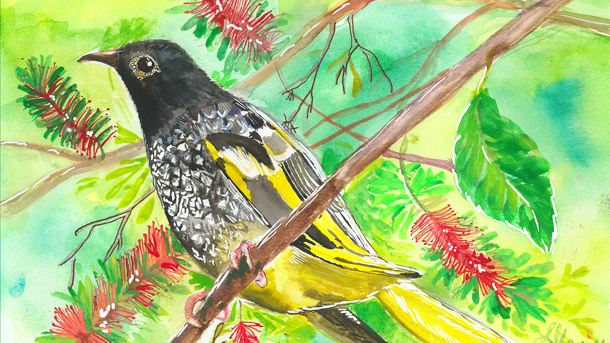 FY26_AC_Keira_1248x702