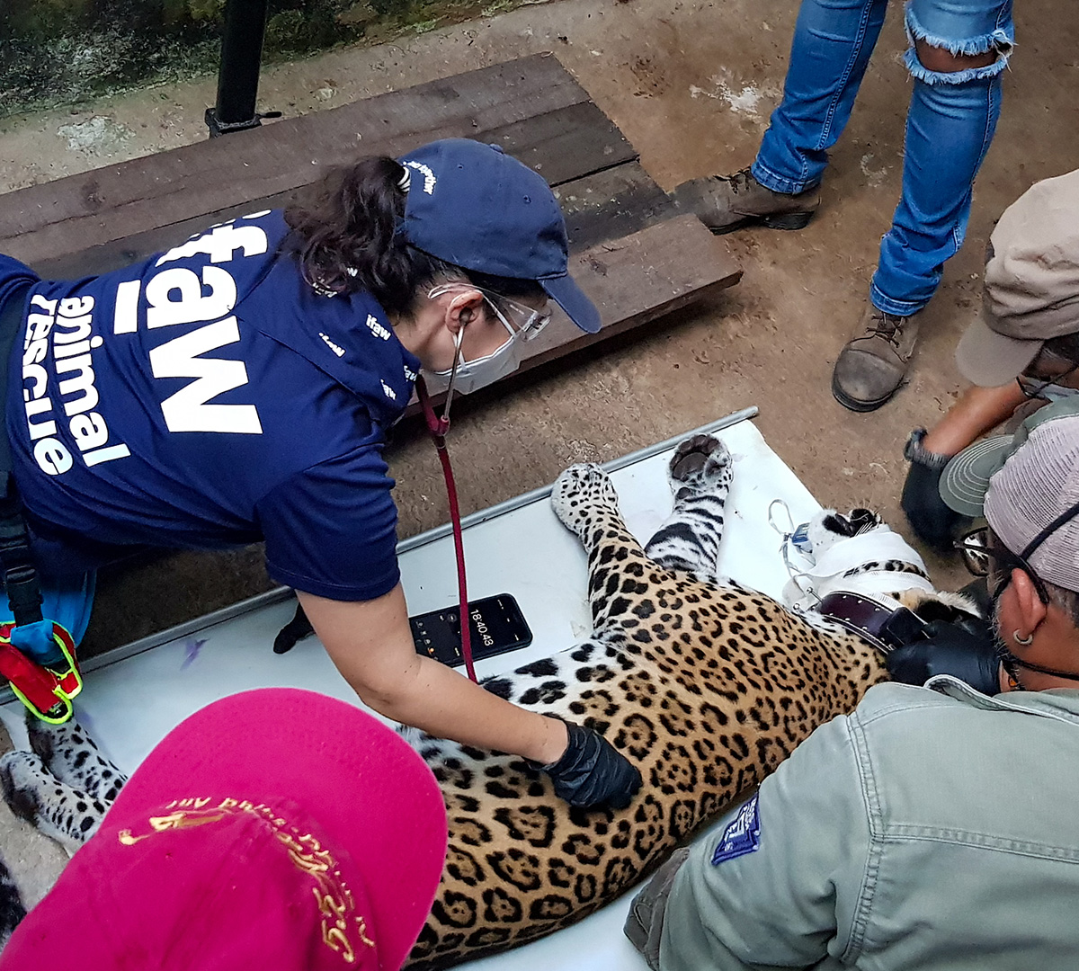 FY26_300641_1200x1080