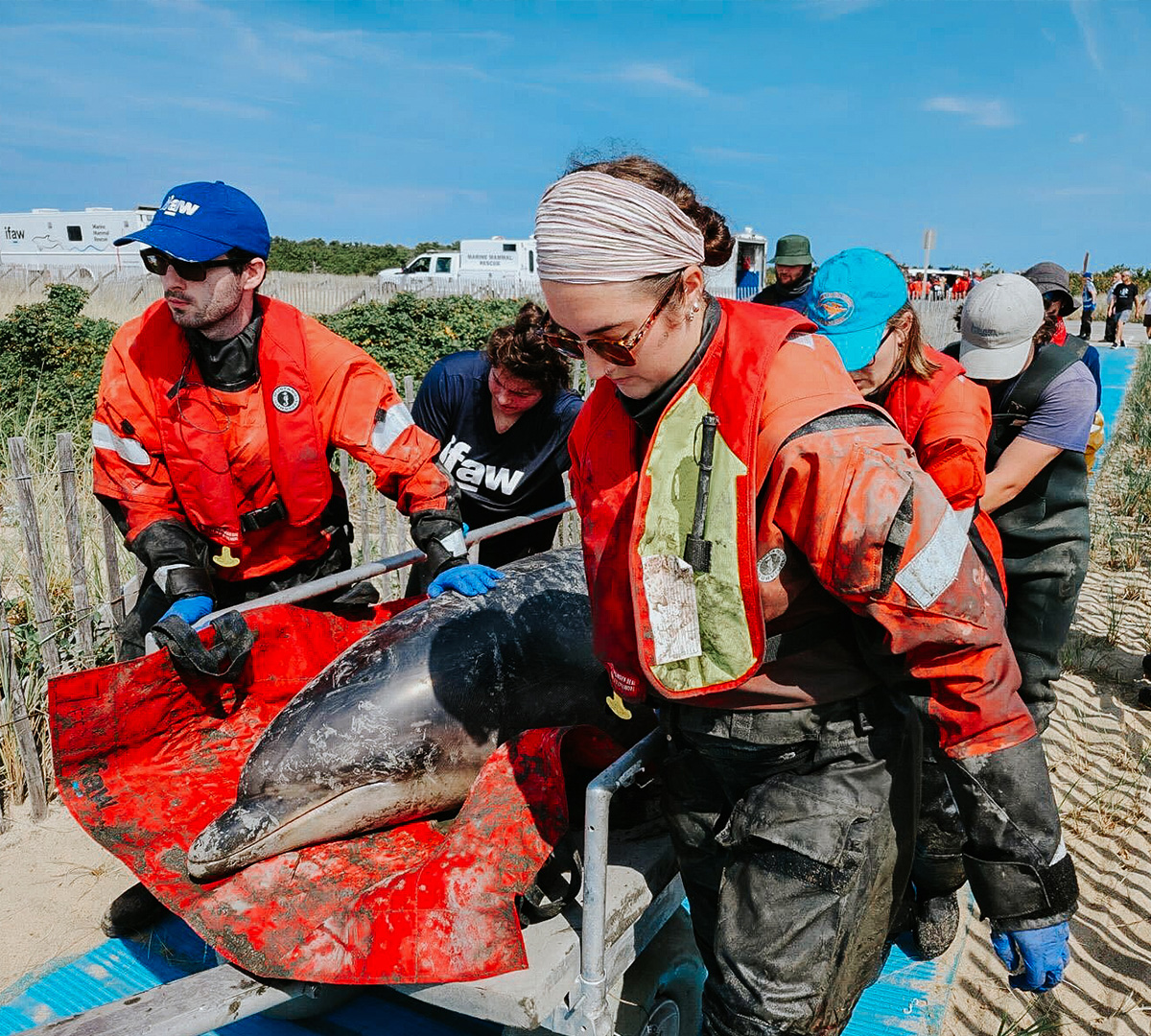 FY26_692589_1200x1080