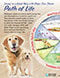 ca-aae17-cover-living-in-a-good-way-with-dogs-posters